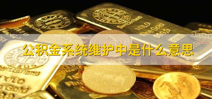 公积金系统维护中是什么意思，公积金贷款怎么办理