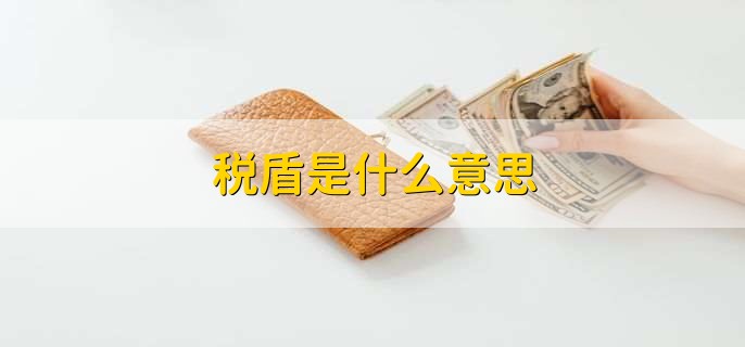 税盾是什么意思，因举债而节省之税赋