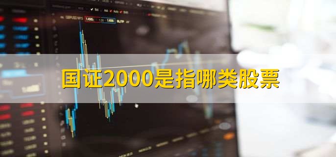 国证2000是指哪类股票，市值排名在前的小盘股