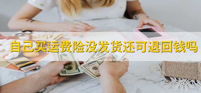 自己买的运费险没有发货还可以退回钱吗