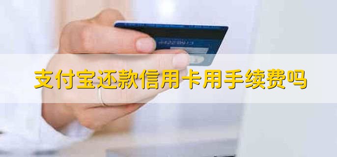 支付宝还款信用卡用手续费吗，需要