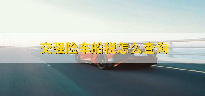 交強(qiáng)險(xiǎn)車船稅怎么查詢