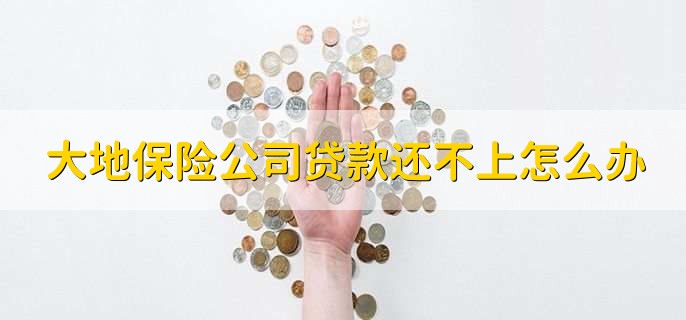 大地保險(xiǎn)公司貸款還不上怎么辦