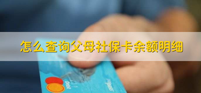 怎么查询父母社保卡余额明细，有以下三种方法