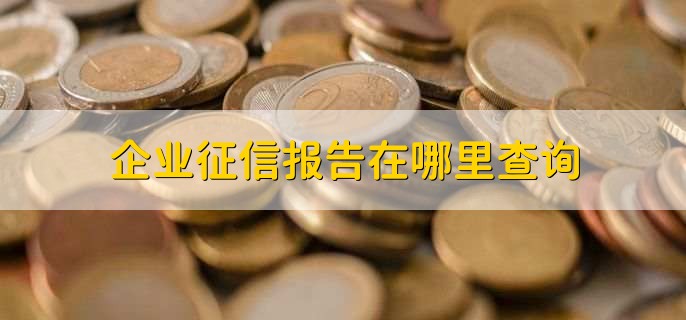 企業(yè)征信報(bào)告在哪里查詢