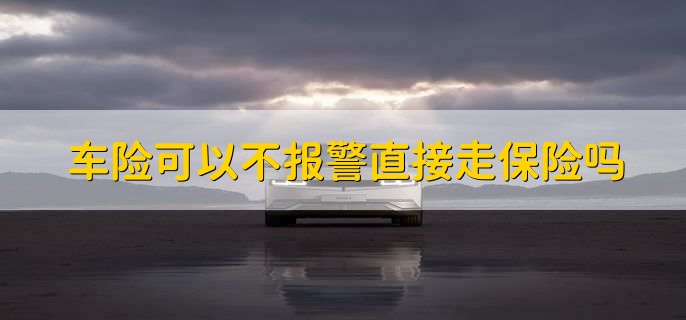 车险可以不报警直接走保险吗，有以下两种情况