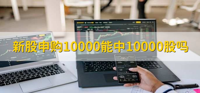 新股申購10000能中10000股嗎