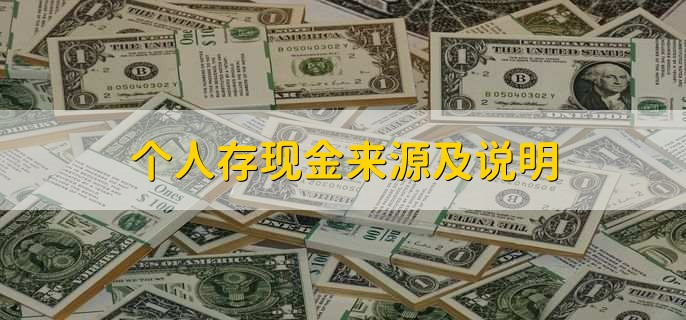 个人存现金来源及说明