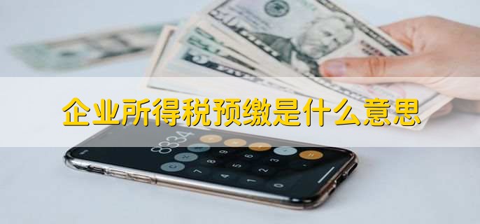 企業(yè)所得稅預(yù)繳是什么意思