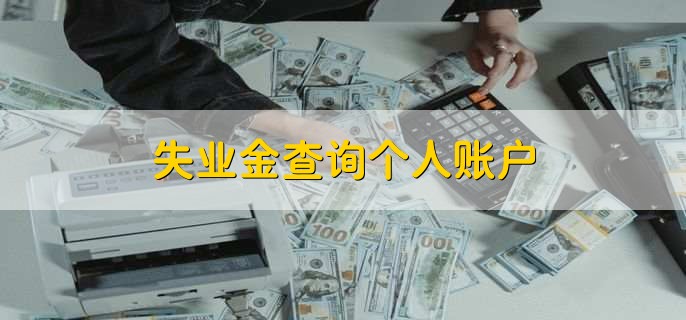 失業(yè)金查詢個(gè)人賬戶