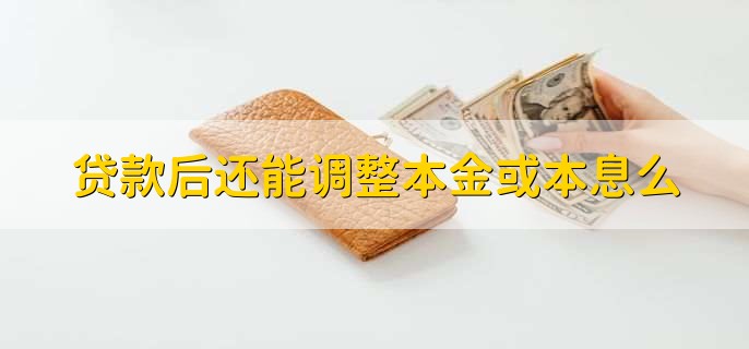 贷款后还能调整本金或本息么，可以