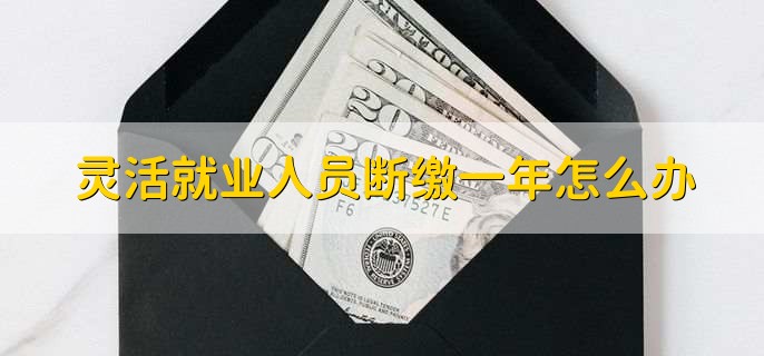 灵活就业人员断缴一年怎么办，有以下两种情况