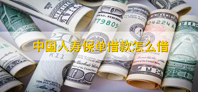 中国人寿保单借款怎么借