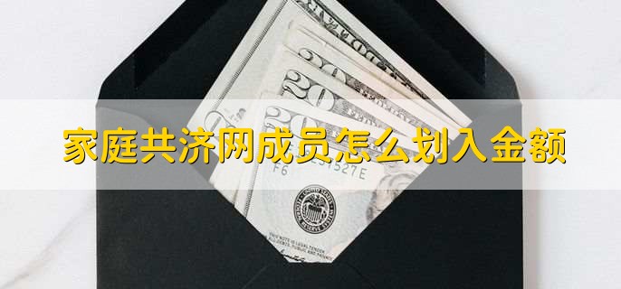 家庭共济网成员怎么划入金额，有以下3步