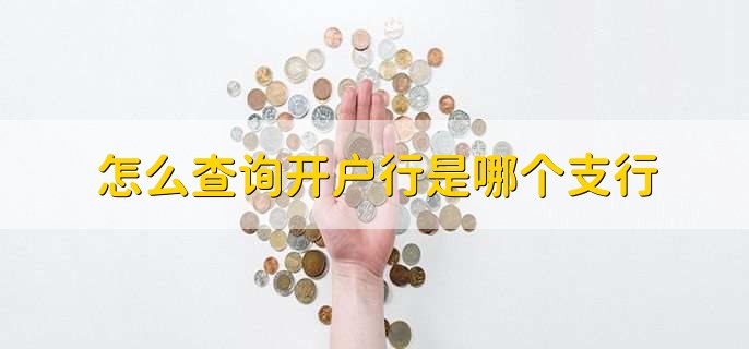 怎么查询开户行是哪个支行，有以下4种方法