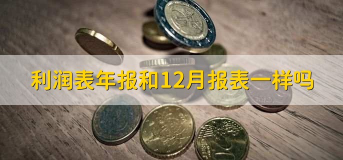 利润表年报和12月报表一样吗