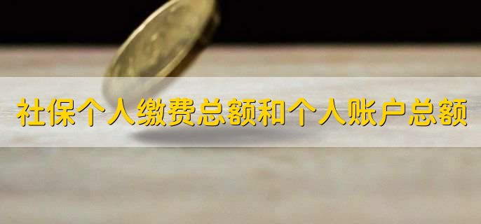 社保个人缴费总额和个人账户总额，有以下两点