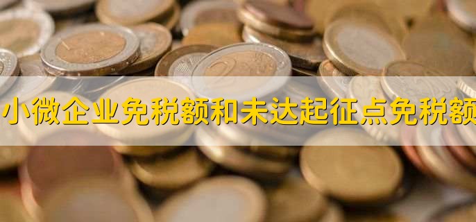 小微企业免税额和未达起征点免税额，有以下六点