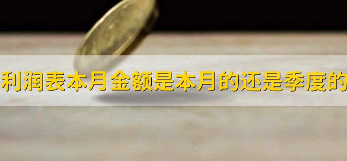 利润表本月金额是本月的还是季度的，都可以