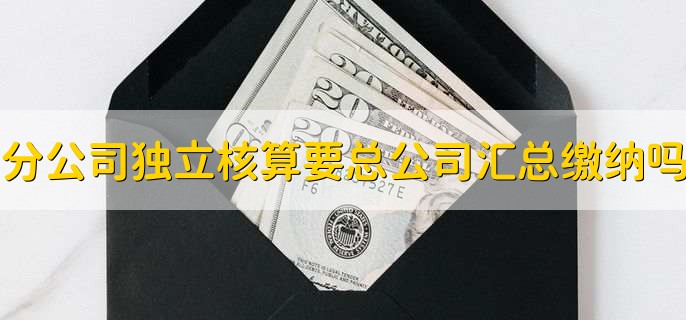 分公司独立核算还需要总公司汇总缴纳吗，不需要