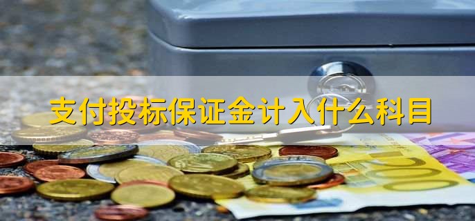 支付投标保证金计入什么科目，有以下两点