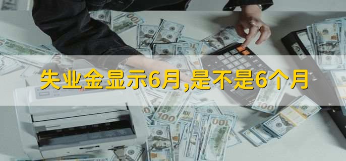 失业金显示6月，是不是6个月