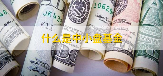 什么是中小盘基金，什么是基金减仓持有