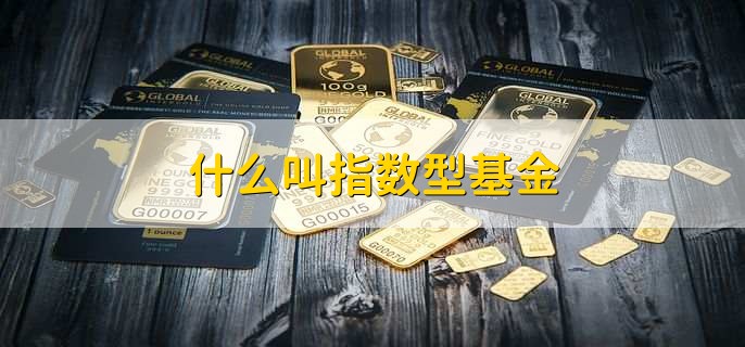 什么叫指数型基金，一种投资基金