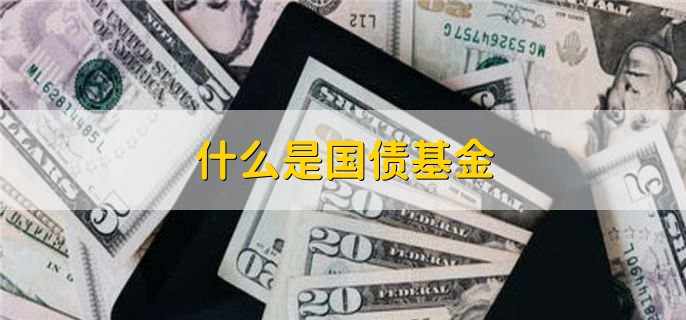 什么是国债基金，专门投资于政府债券的基金