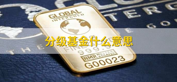 分级基金什么意思，一种特殊类型的基金