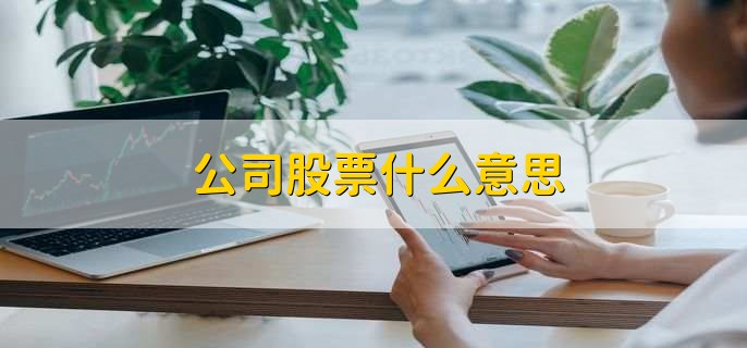 公司股票什么意思，公司向公众发行的一种所有权证明