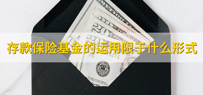 存款保险基金的运用限于什么形式，有以下3点