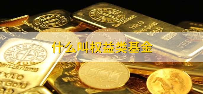 什么叫权益类基金，通过获得红利的投资方式的基金