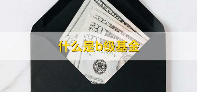 什么是b级基金，分级基金中的B级份额