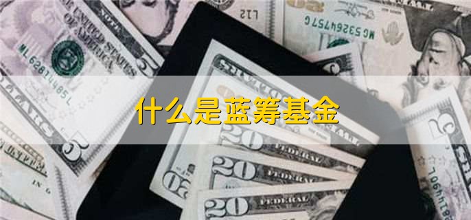 什么是蓝筹基金，什么是基金持仓