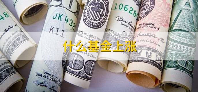 什么基金上涨，基金份额的净值或价格增长