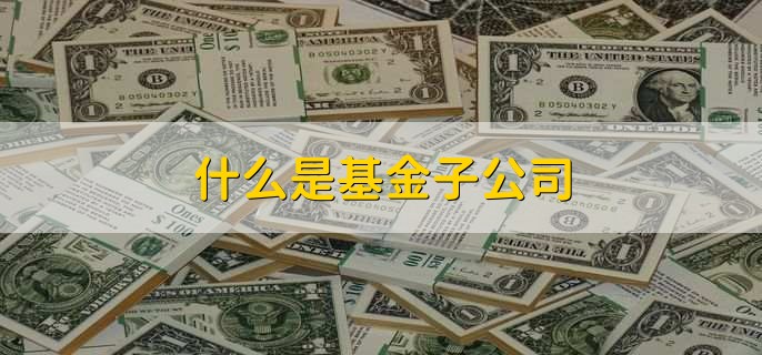 什么是基金子公司，由基金管理公司成立并控股的子公司