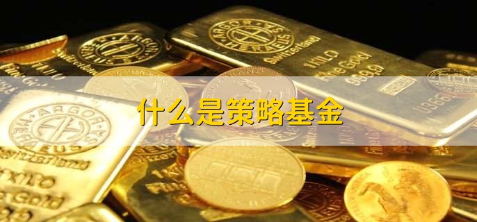 什么是策略基金，策略指数基金能定投吗