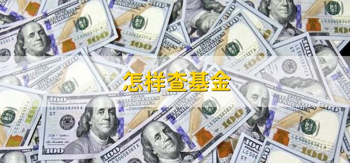 怎样查基金，有以下4种方法