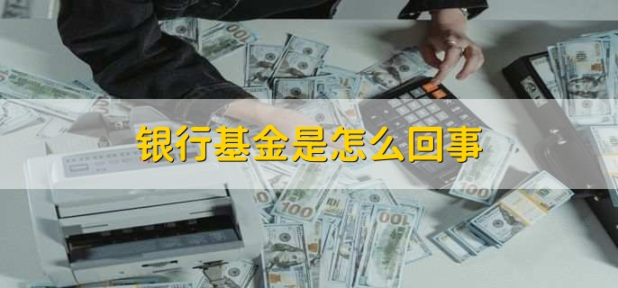 银行基金是怎么回事，银行基金怎么评估收益