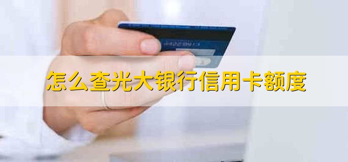 怎么查光大银行信用卡额度，有以下4种方法