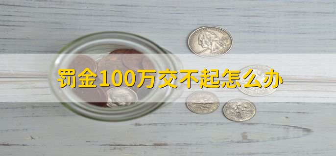 罰金100萬(wàn)交不起怎么辦，分以下四點(diǎn)