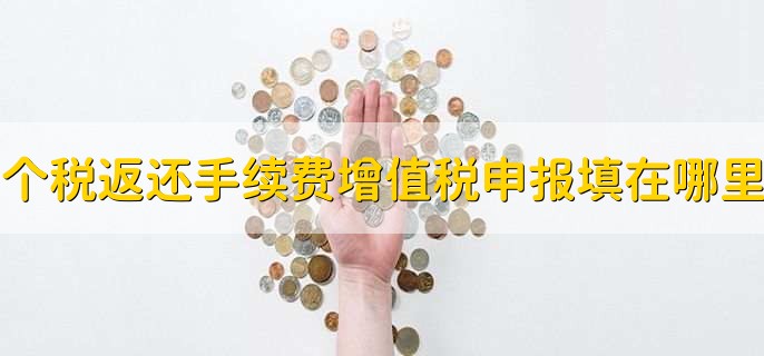 个税返还手续费增值税申报填在哪里